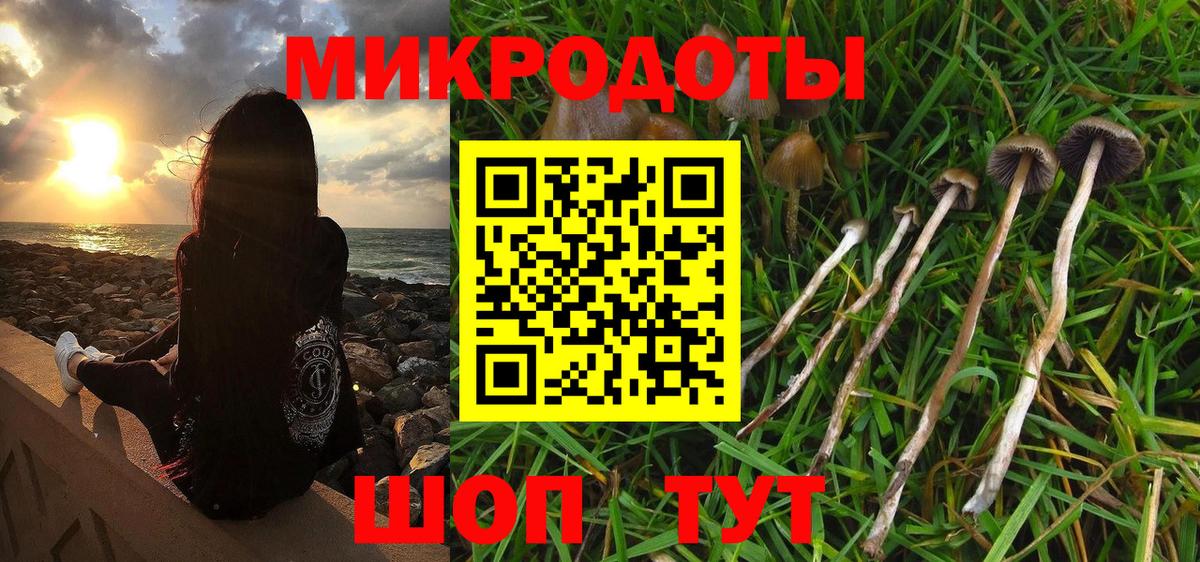 Псилоцибиновые грибы GOLDEN TEACHER Дербент